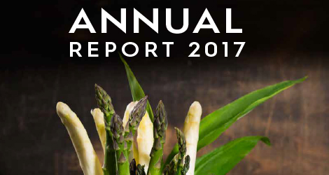 Annuel report 2017