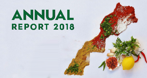 Annuel report 2018